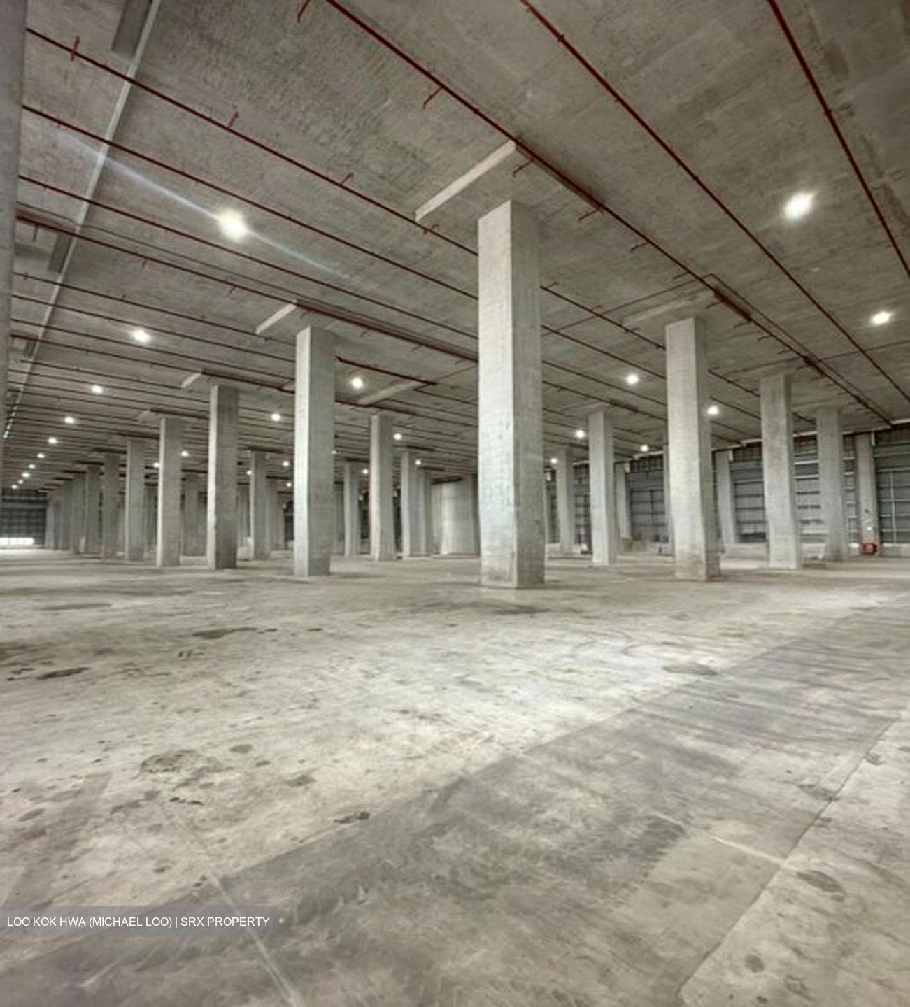 TIEN WAH PRESS (D5), Warehouse #523471021